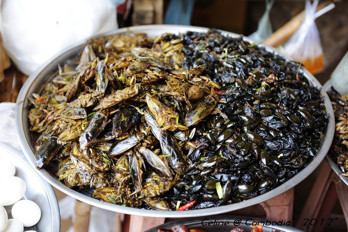 柬埔寨游玩推荐,柬埔寨旅游必去的九大绝佳景点
