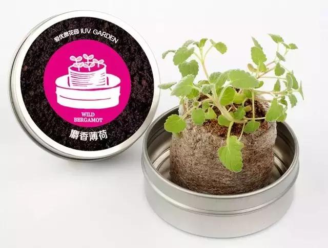 快看,征服男神女神的零差评礼物清单