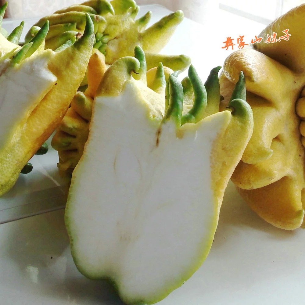 老香黄是哪三样,老香黄是什么有什么用