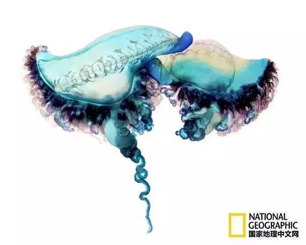 夏天带宝宝去海边玩注意什么,带娃到海边玩一定要注意安全