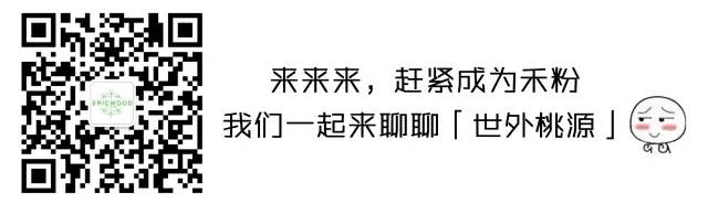 忽逢桃花源免费阅读,林尽水源忽逢桃花源全文