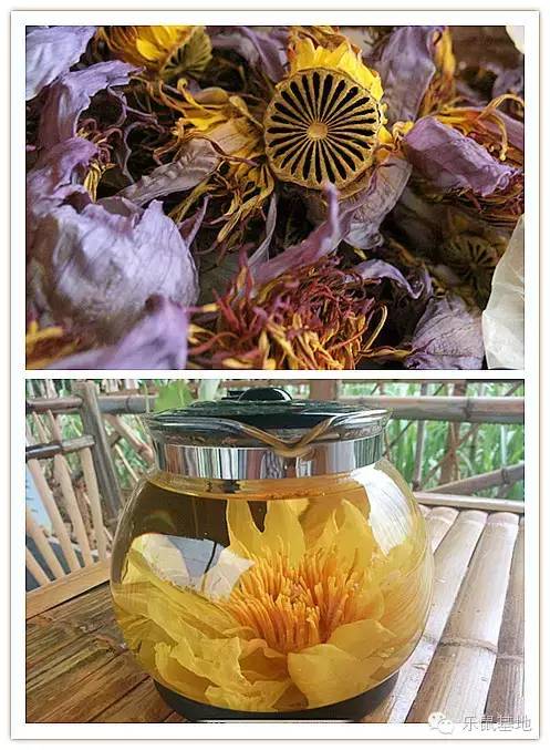 莲花很美,莲花应该怎么吃