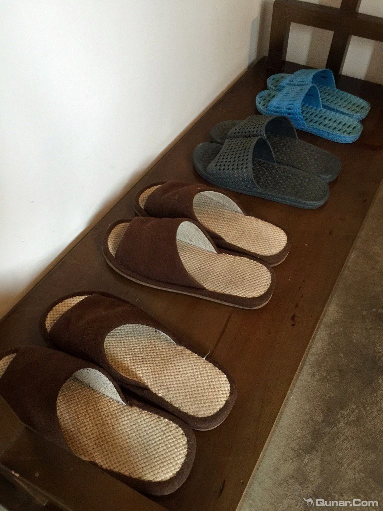 大理无花果好去处,大理路边大叶无花果