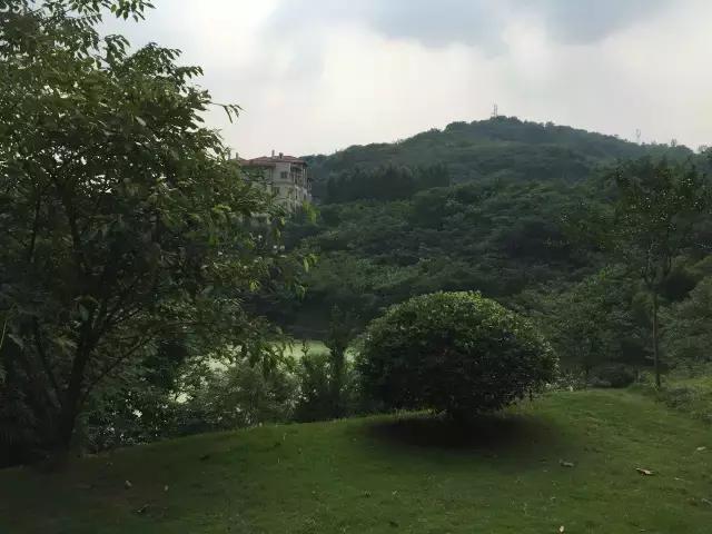 金科郑州城,金科地产郑州金科城