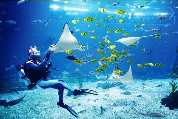 韩国济州岛一个人攻略,韩国济州岛旅行视频