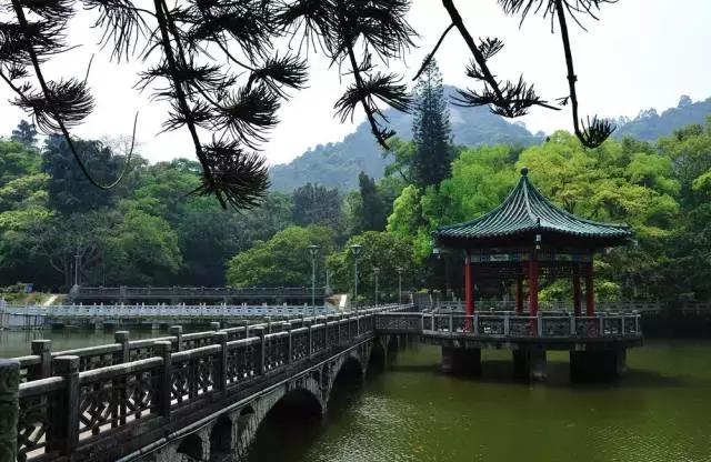 广东省最富裕的城市有哪些,广东省最富裕的地方