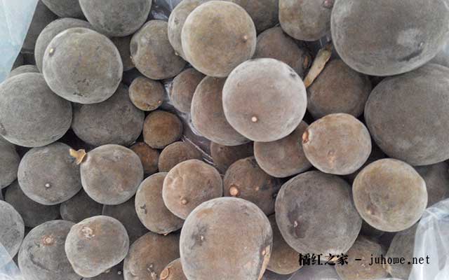 肺气肿诊断书,肺气肿专题报告