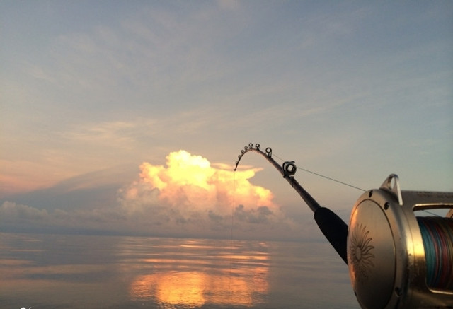 国外海钓巨物视频大全,去海钓路亚