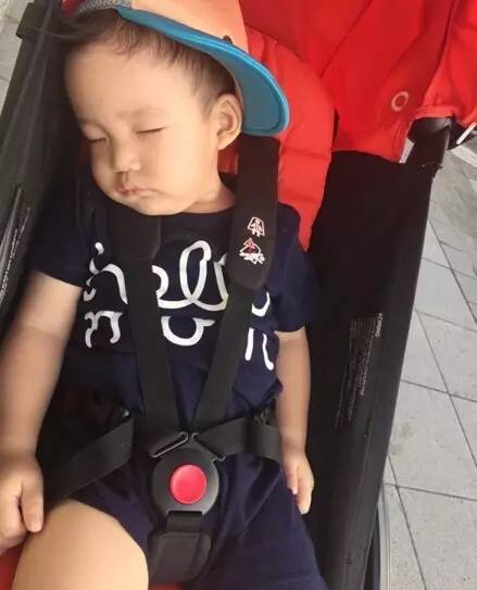 日本最好用的防螨用品,日本十大驱蚊器