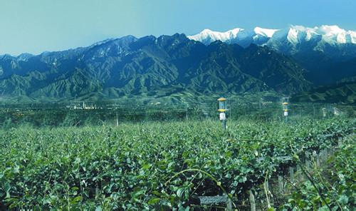 陕西眉县什么时候撤县设市,眉县撤县设市最新消息