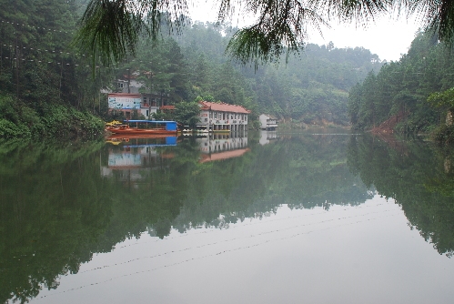 白云山林海风景,资中县白云山风景区
