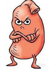 肾虚怎么靠饮食来调理,了解肾虚来预防和治疗肾虚