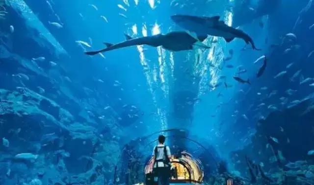 韩国济州岛一个人攻略,韩国济州岛旅行视频