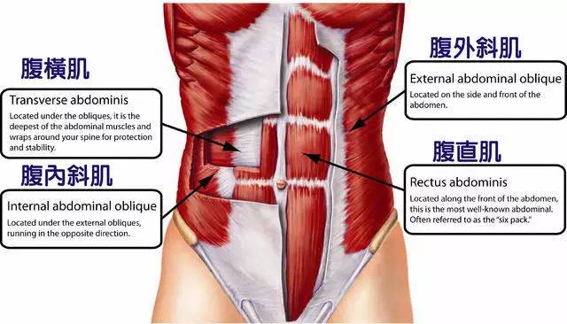 10天练就马甲线翘臀,翘臀和马甲线训练计划女生