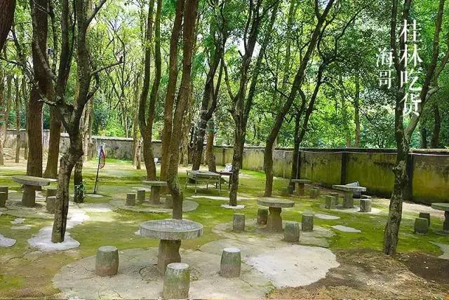 火火火!火爆珠三角的火焰醉鹅杀到桂林了!好吃到舔指头!