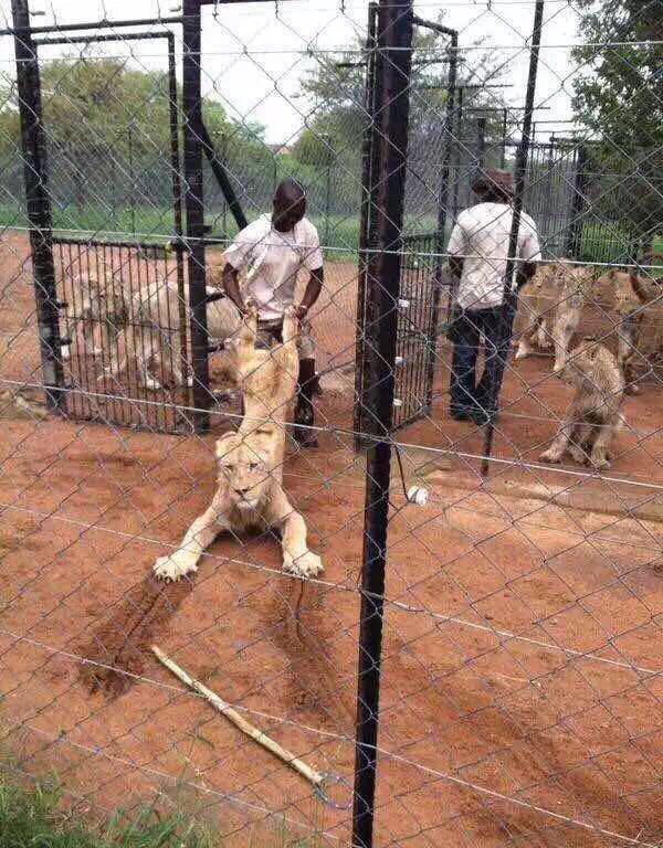 香山体脂秤哪个型号最好,香山八电极体脂秤测评