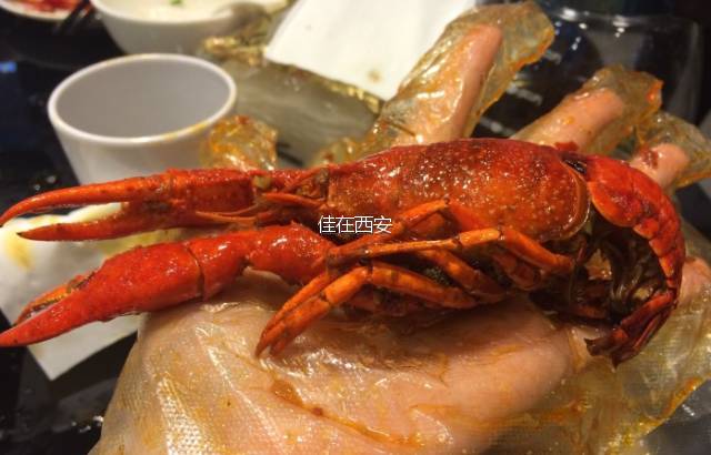西安哪家小龙虾好吃,西安小龙虾好吃排行