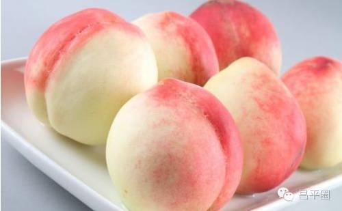 永定区冬桃新鲜采摘等你来,果园现摘冬桃脆甜