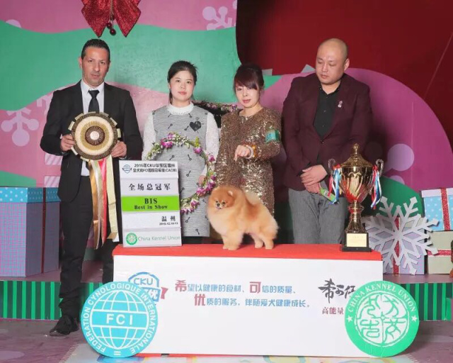 showtime精彩集锦,showtime剧情介绍