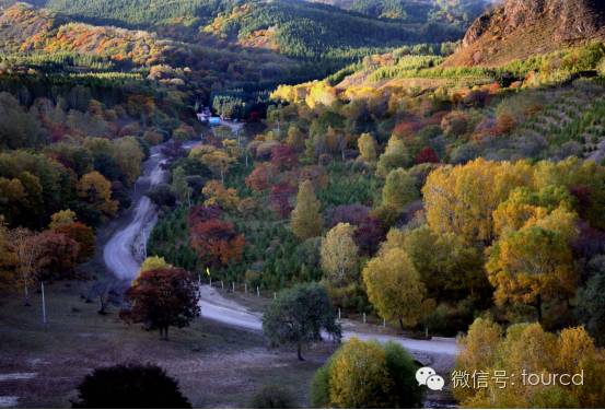 塞罕坝周末游,塞罕坝避暑攻略