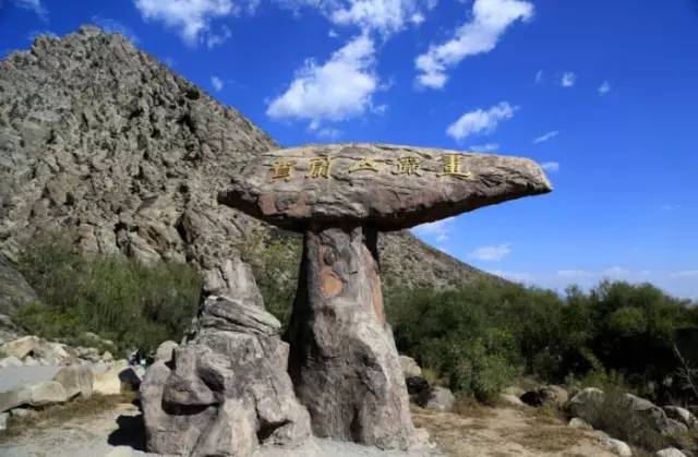 五一可以带孩子去银川吗,银川真的适合带孩子去吗