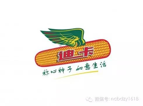 中国第三大玉米品牌,中国三大玉米交易市场