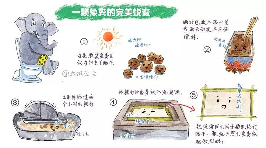 斯里兰卡最不可思议的景点,深度揭秘斯里兰卡