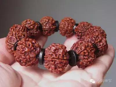 菩提要怎么介绍它的特色,菩提要懂的知识