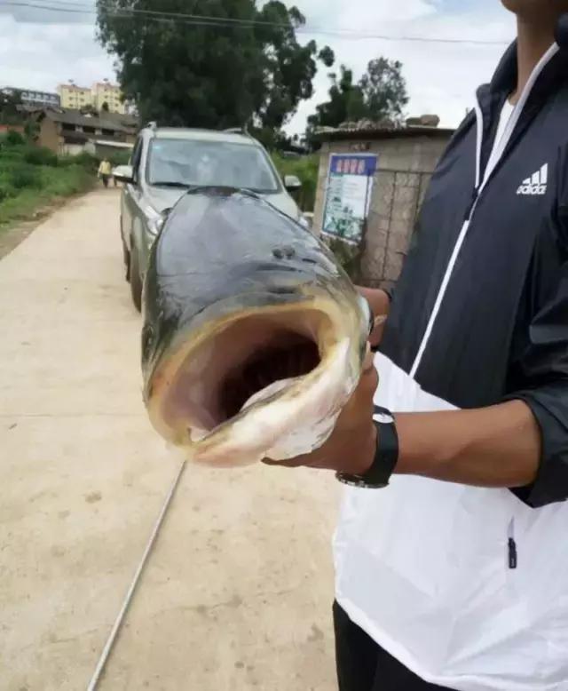 娓旇幏閽撻奔,娓旇幏鎴樻姤