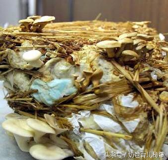 宝宝尿片小技巧,宝宝尿片可以重复使用吗