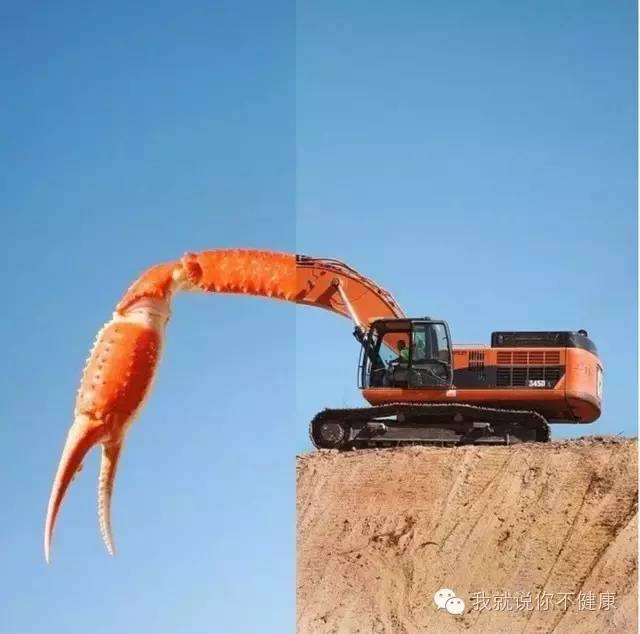 收藏aj被骂,收藏aj会亏吗