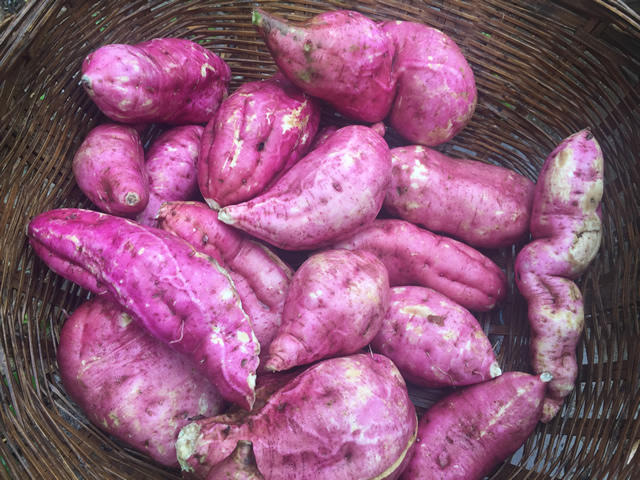 那些年，我们去金丝峡游玩路过的商南县太子坪村