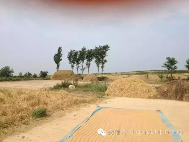 我的夜晚比你的白天更美,白天和夜晚儿歌