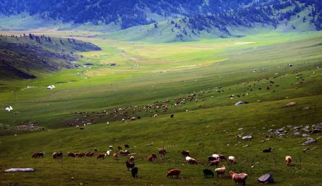 成都一套房的钱，在国外可以买些啥？看完我整个人都不好了