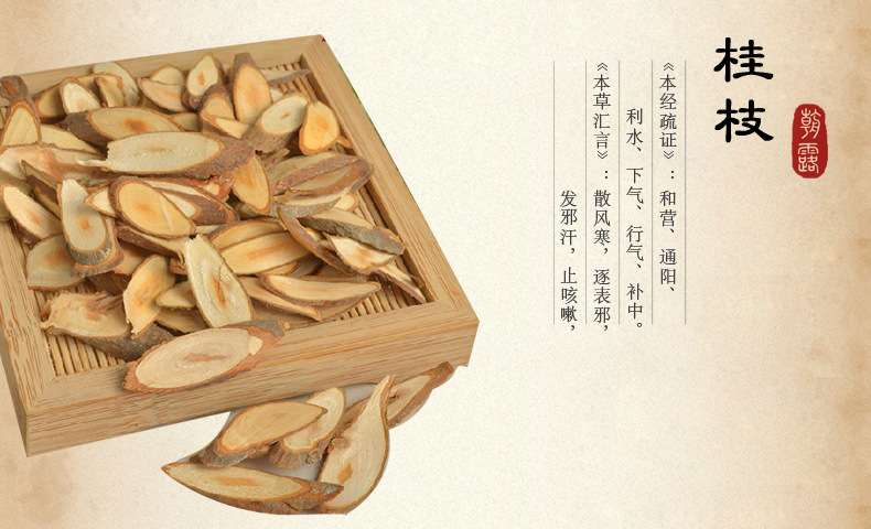 中医桂枝功效口诀,讲中医药故事