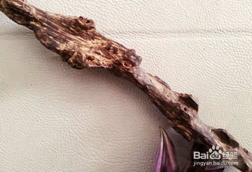 马来西亚沉香的功效,马来西亚沉香的鉴别方法