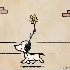 snoopy史努比是哪国品牌,snoopy史努比是什么动物