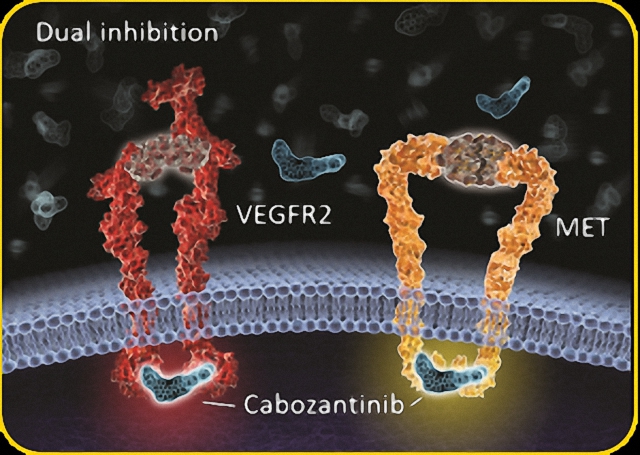 欧盟cep认证药品,2022年fda批准的晚期肾癌新药