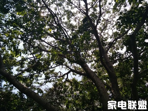 vivox7深度评测,vivox70标准版夜景视频测评