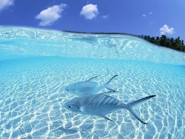 如果你第一次来马尔代夫,如果你在马尔代夫旅游