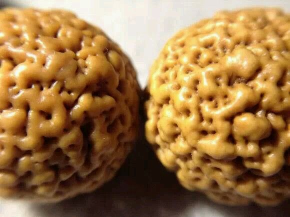 用可乐泡金刚菩提子,金刚菩提可乐怎么泡