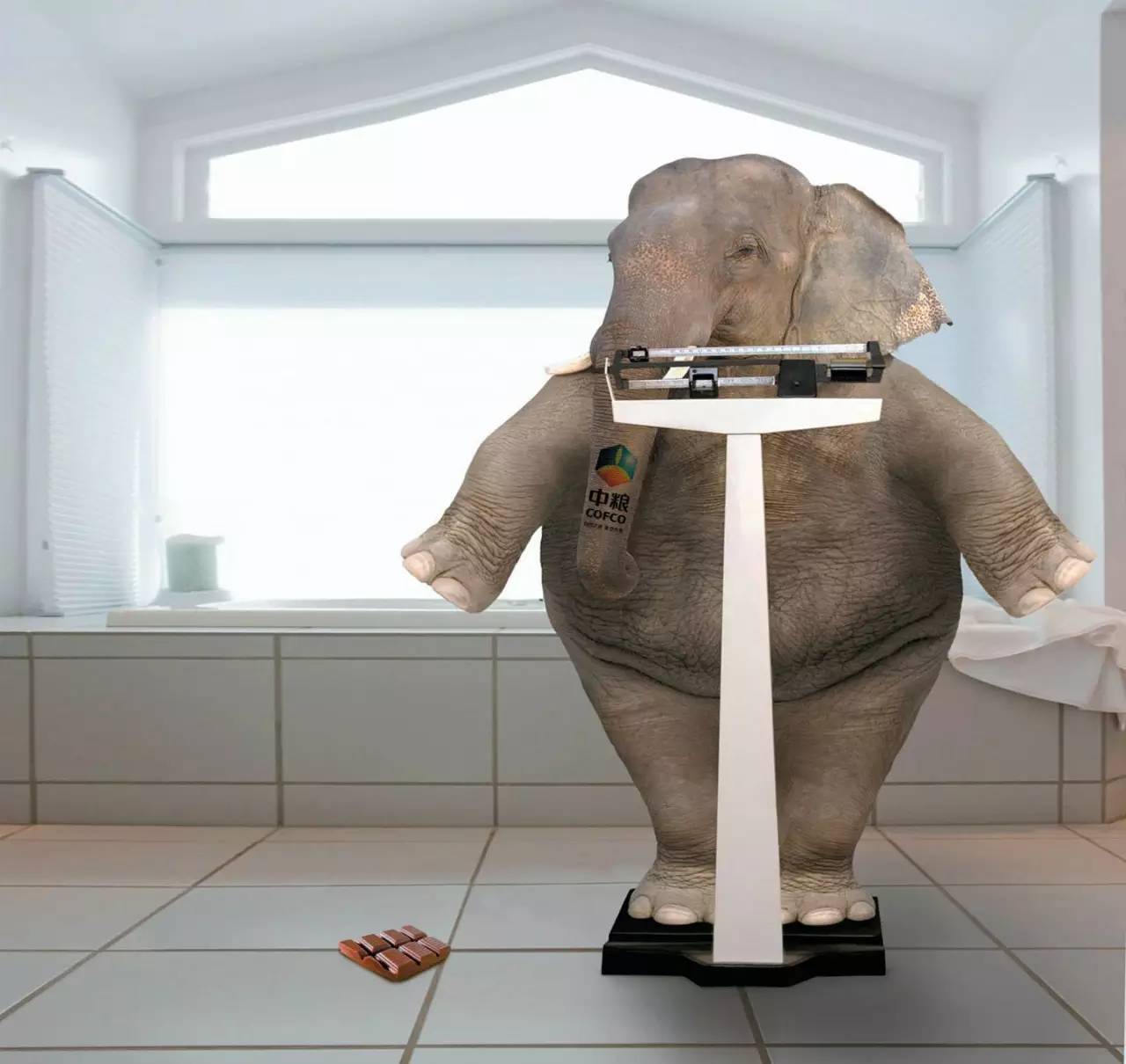 中粮集团效益如何,中粮集团再瘦身