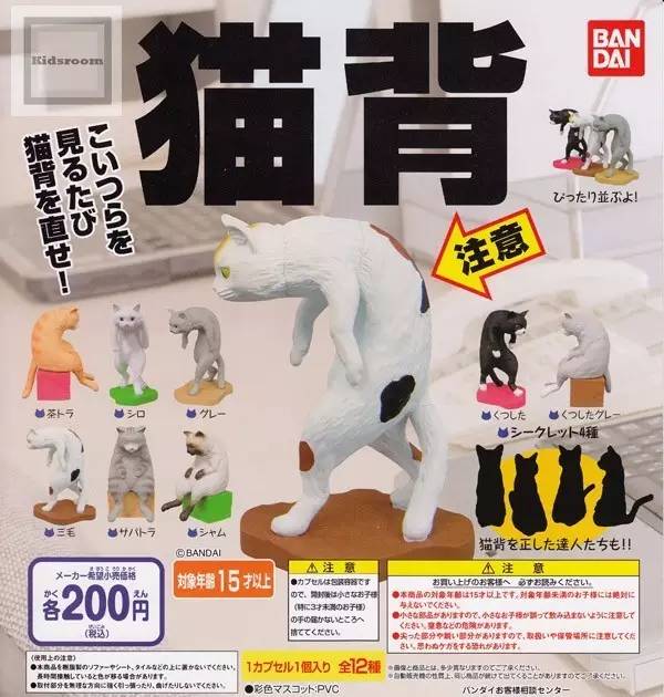 什么萌物好养又干净又便宜,萌物推荐