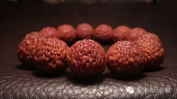 新手必须知道的东西,新手必学的药品知识