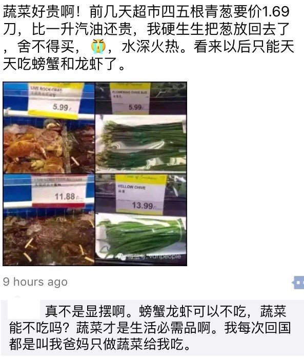 韭黄22块一斤,韭黄12元一斤