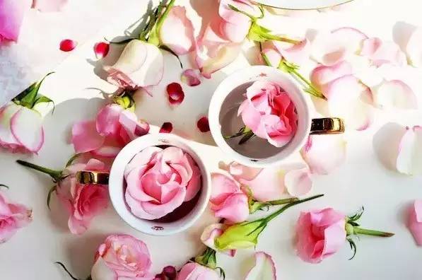 十二星座中最爱狮子座的星座,十二星座的狮子座最爱的是什么