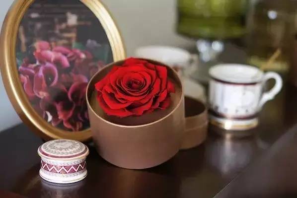 十二星座中最爱狮子座的星座,十二星座的狮子座最爱的是什么