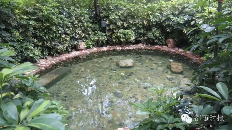 食色云南丨热天泡温泉别样的感受宜良泡温泉吃麻鸭端午走起