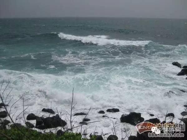 中国人去济州岛购物,跟团去济州岛购物攻略