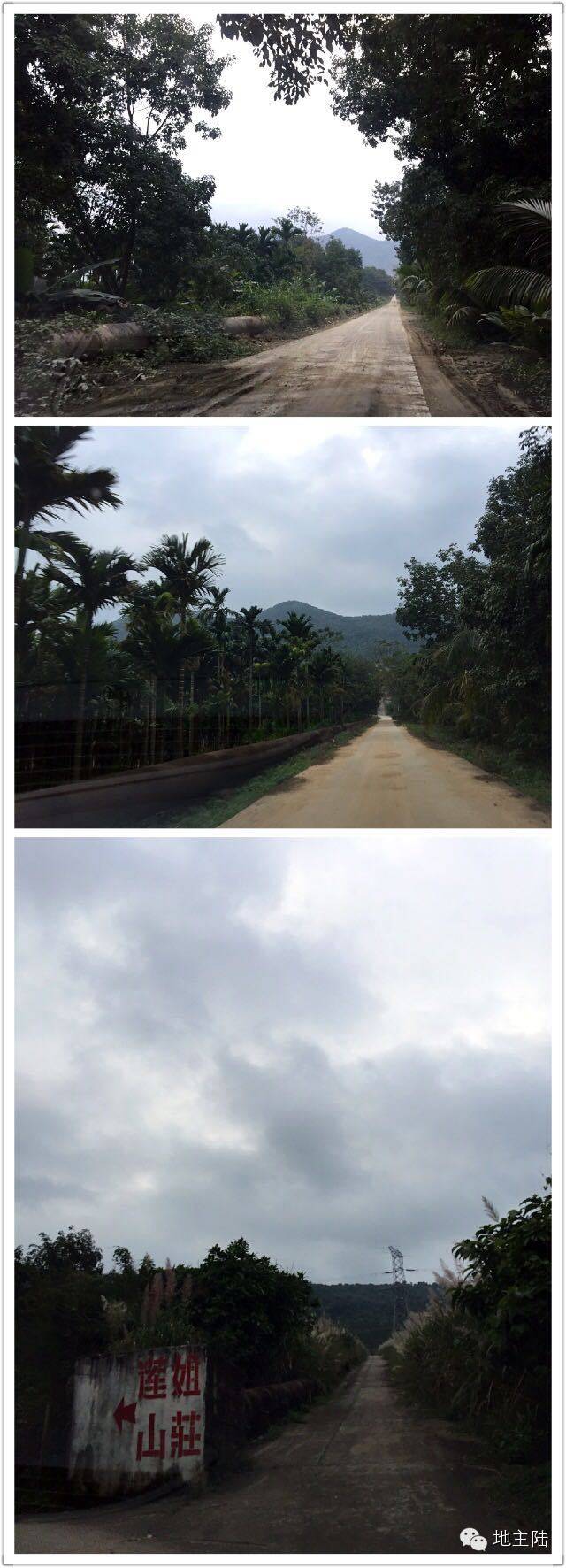 海南吃鸡视频大全集,海南吃鸡游戏大全